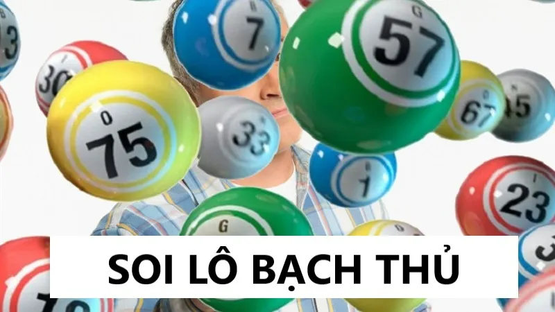 bach-thu-lo-666-soi-cau